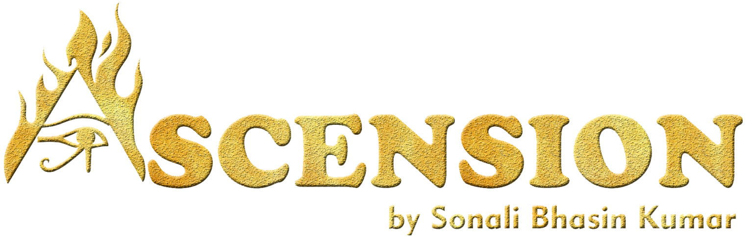 logo 1536x484 1